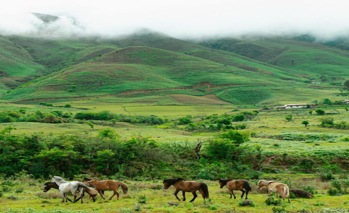 hotels in mechuka, best time to visit mechuka, Mechuka tour package,